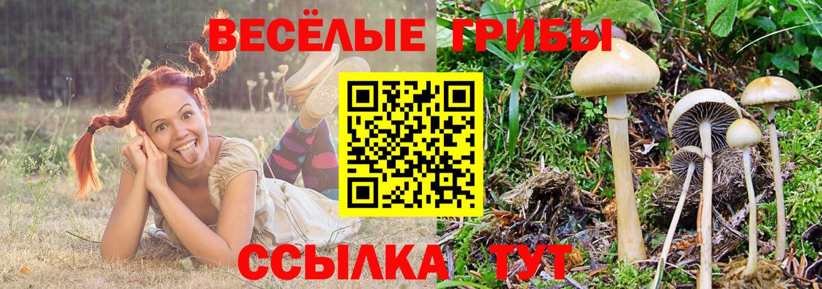 Галлюциногенные грибы Psilocybine cubensis  Вход с VPN  Дзержинский 