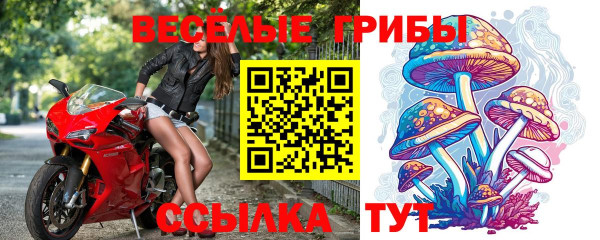 Псилоцибиновые грибы Magic Shrooms Дзержинский